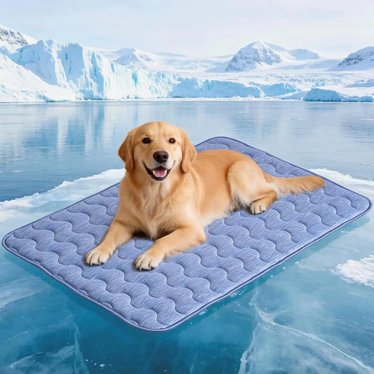 Large Chill Mat — Instant Cooling Pad for Dogs, No Ice or Electricity Needed
